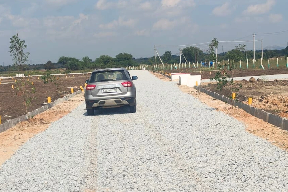 Site Layout & Location